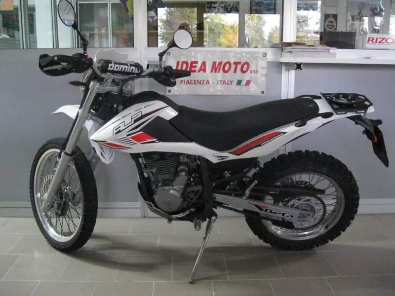 Betamotor Alp 4.0 (2008 - 17) (2)