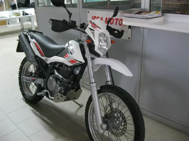 Betamotor Alp 4.0 (2008 - 17) (6)