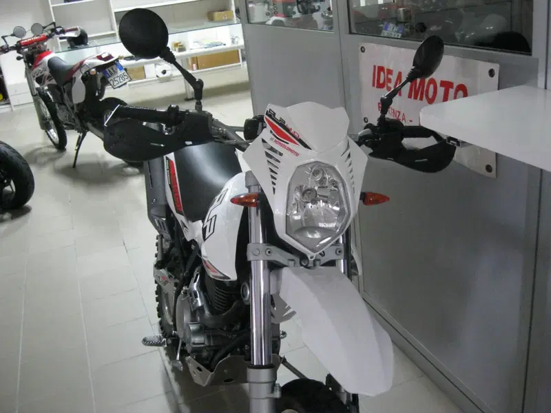Betamotor Alp 4.0 (2008 - 17) (7)