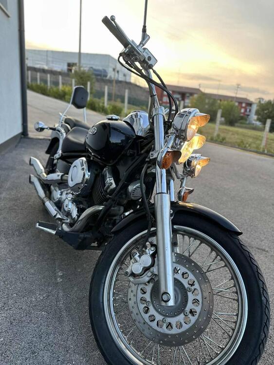 Yamaha XVS 650 Drag Star (1997 - 05) (5)