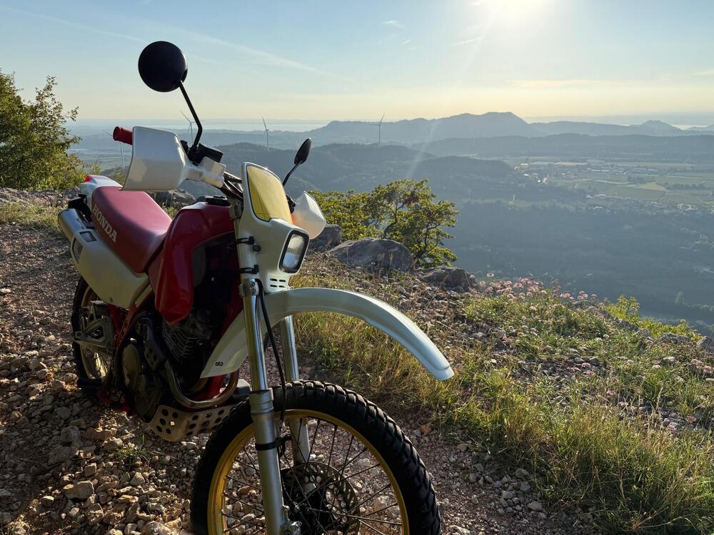 Honda NX 650 Dominator (3)
