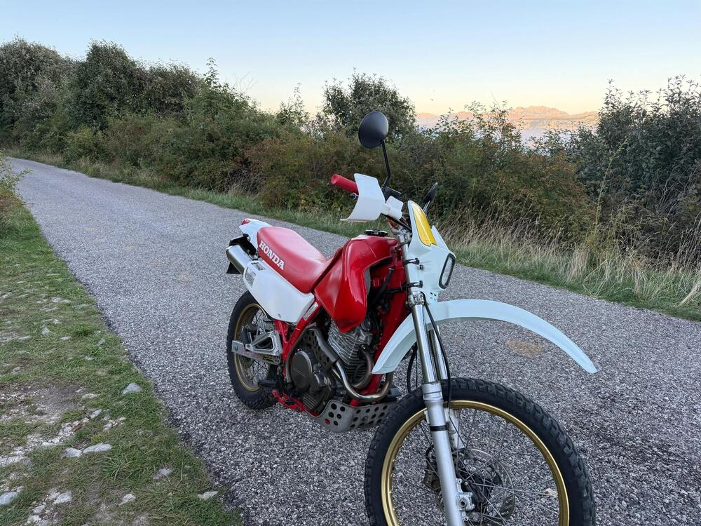 Honda NX 650 Dominator (4)