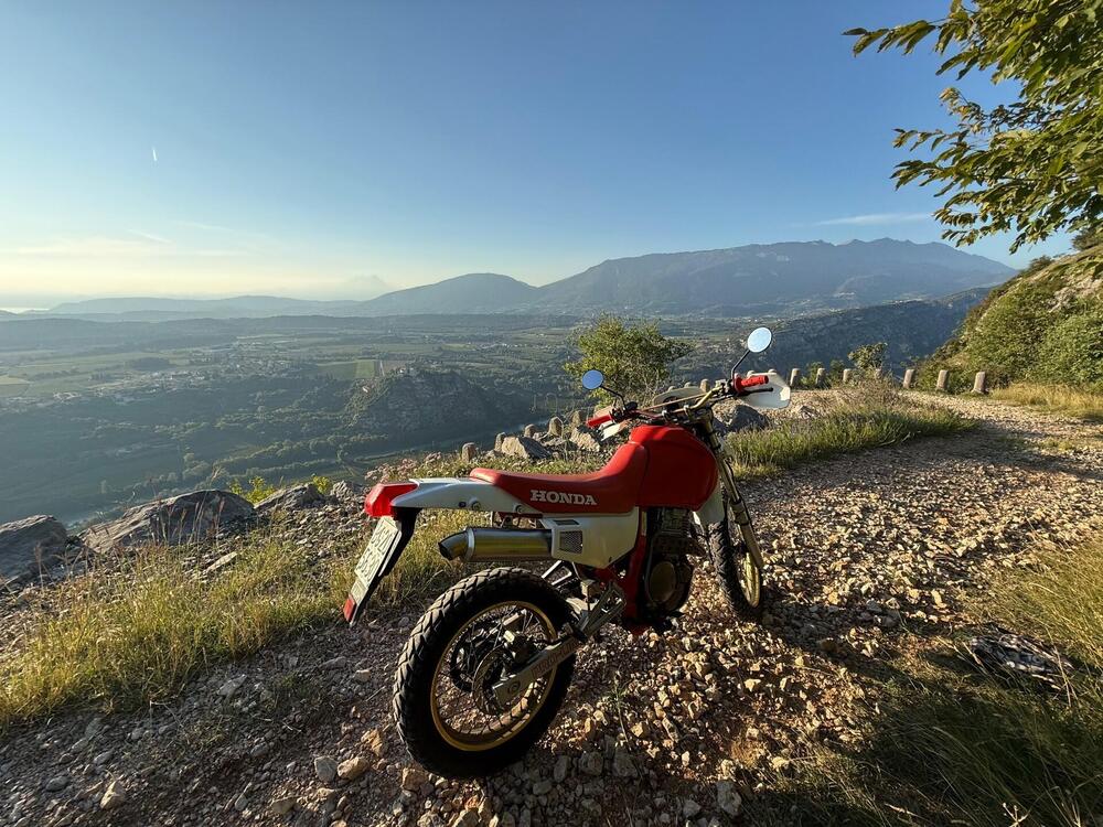 Honda NX 650 Dominator (5)