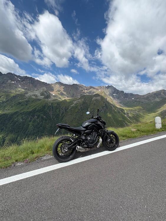 Yamaha MT-07 Pure (2023 - 25) (5)