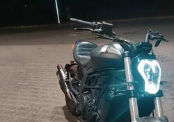 Benelli 502 C (2019 - 20) usata