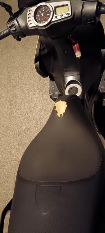 Gilera Runner 50 SP (2006 - 20) (2)