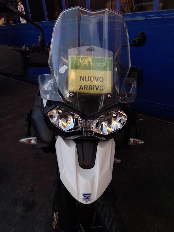 Triumph Tiger 800 (2010 - 14) (3)