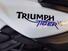 Triumph Tiger 800 (2010 - 14) (13)