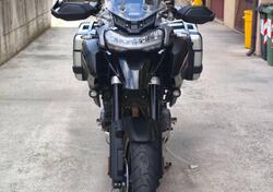 Triumph Tiger 1200 GT Pro (2024 - 25) usata
