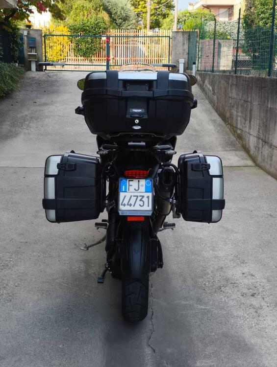 Triumph Tiger 1200 GT Pro (2024 - 25) (2)