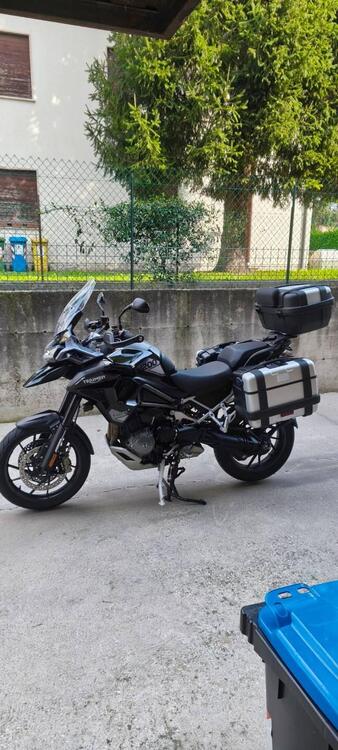 Triumph Tiger 1200 GT Pro (2024 - 25) (3)