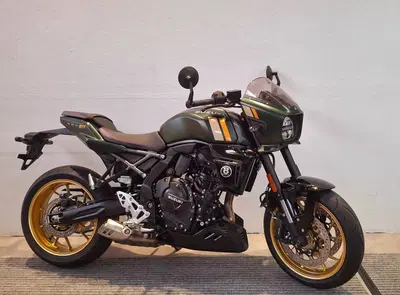 Suzuki GSX-8TT (2025 - 26) nuova