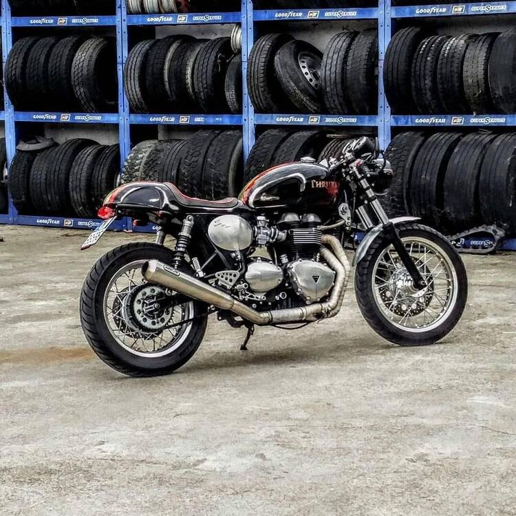 Triumph Thruxton 900 (2004 - 15)