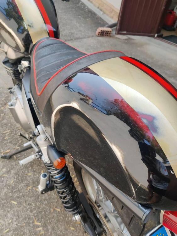 Triumph Thruxton 900 (2004 - 15) (5)