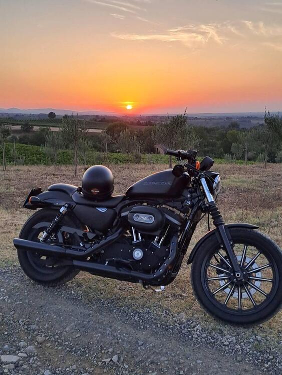 Harley-Davidson 883 Iron (2009 - 11) - XL 883N