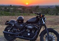 Harley-Davidson 883 Iron (2009 - 11) - XL 883N usata