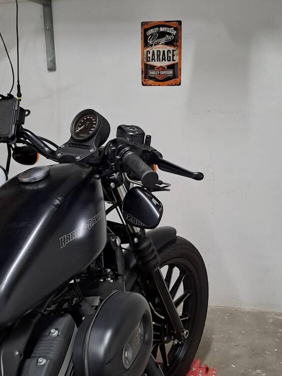 Harley-Davidson 883 Iron (2009 - 11) - XL 883N (2)