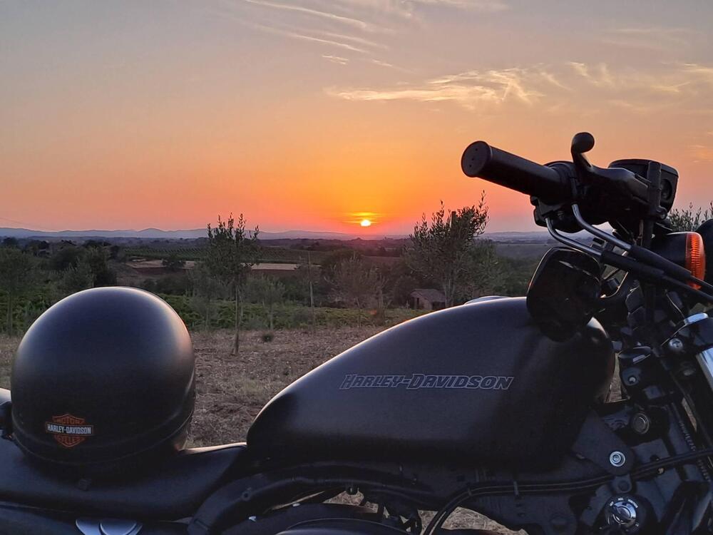 Harley-Davidson 883 Iron (2009 - 11) - XL 883N (3)