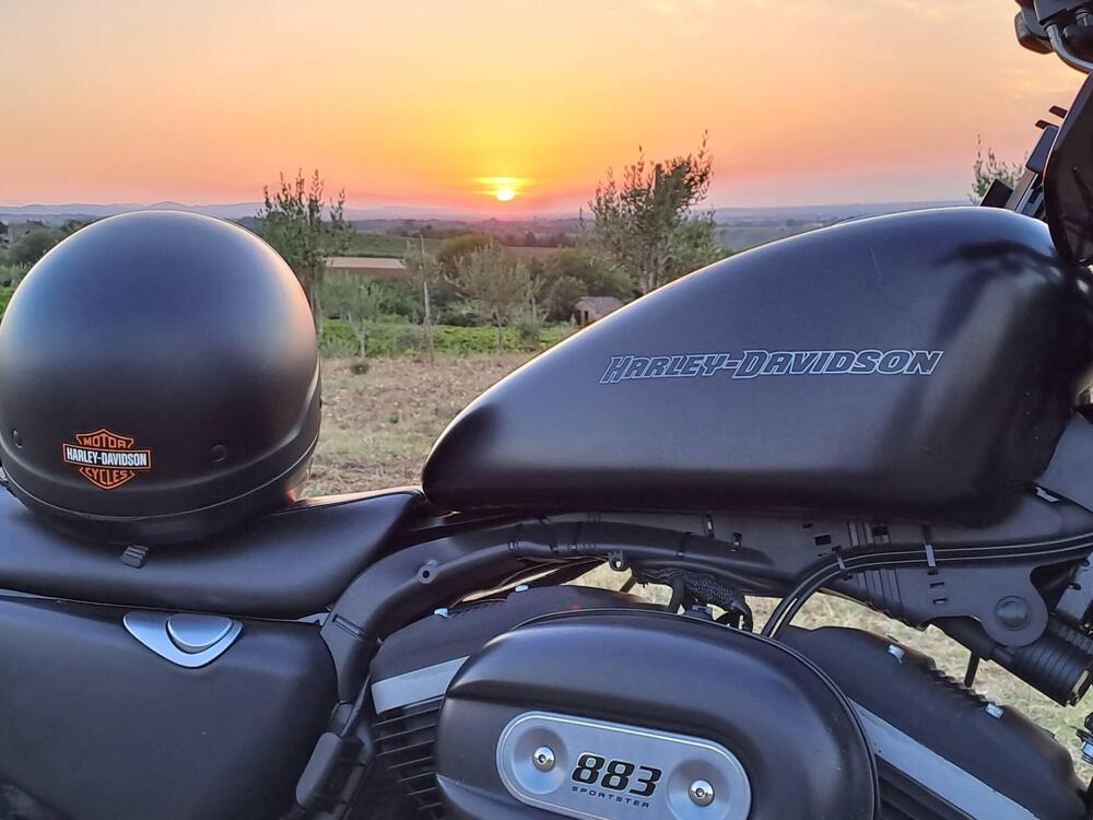 Harley-Davidson 883 Iron (2009 - 11) - XL 883N (4)