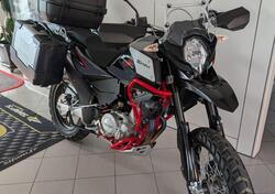 Swm Superdual 600 T (2023 - 24) usata