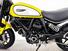 Ducati Scrambler 800 Icon (2023 - 25) (16)