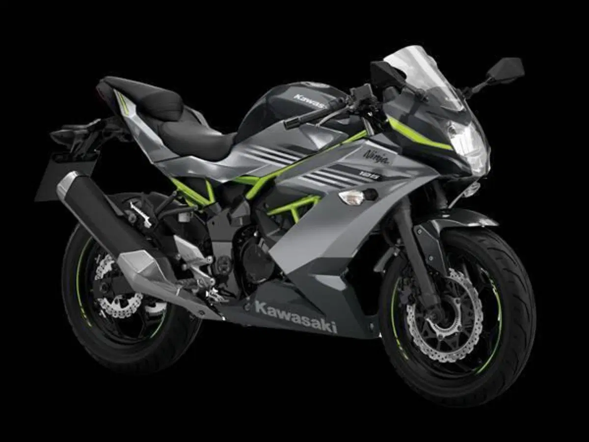 Kawasaki Ninja 125 (2021 - 24) (2)