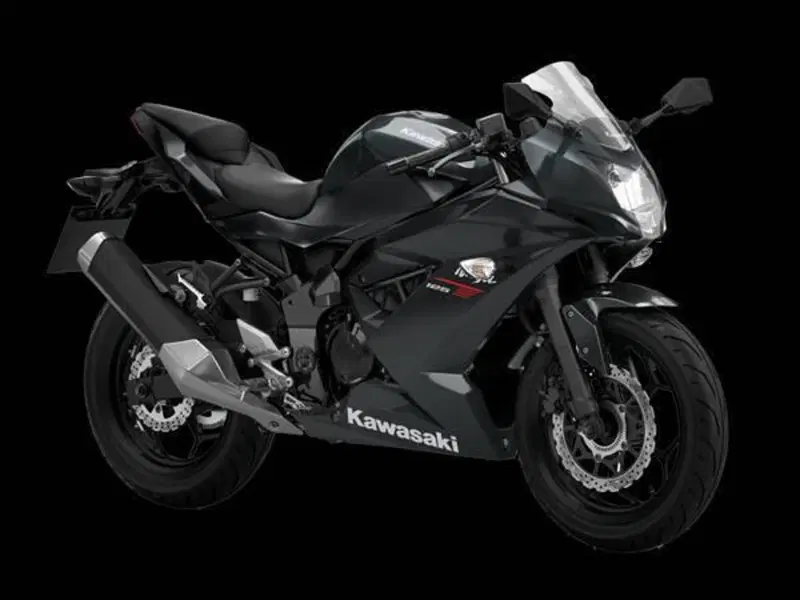 Kawasaki Ninja 125 (2021 - 24)