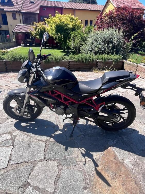 Benelli BN 125 (2018 - 20) (2)