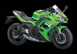 Kawasaki Ninja 650 (2025 - 26) nuova