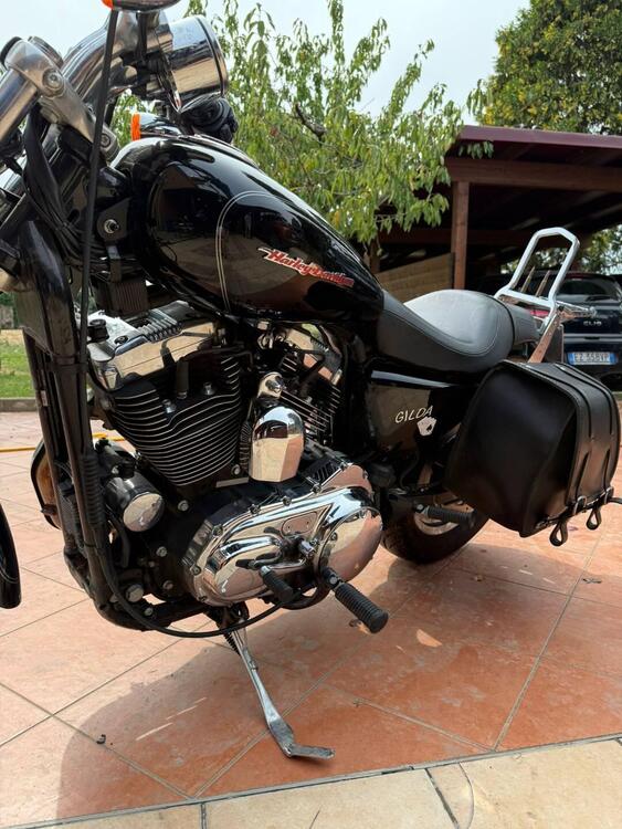 Harley-Davidson 1200 Custom (2004 - 06) - XL 1200C (2)