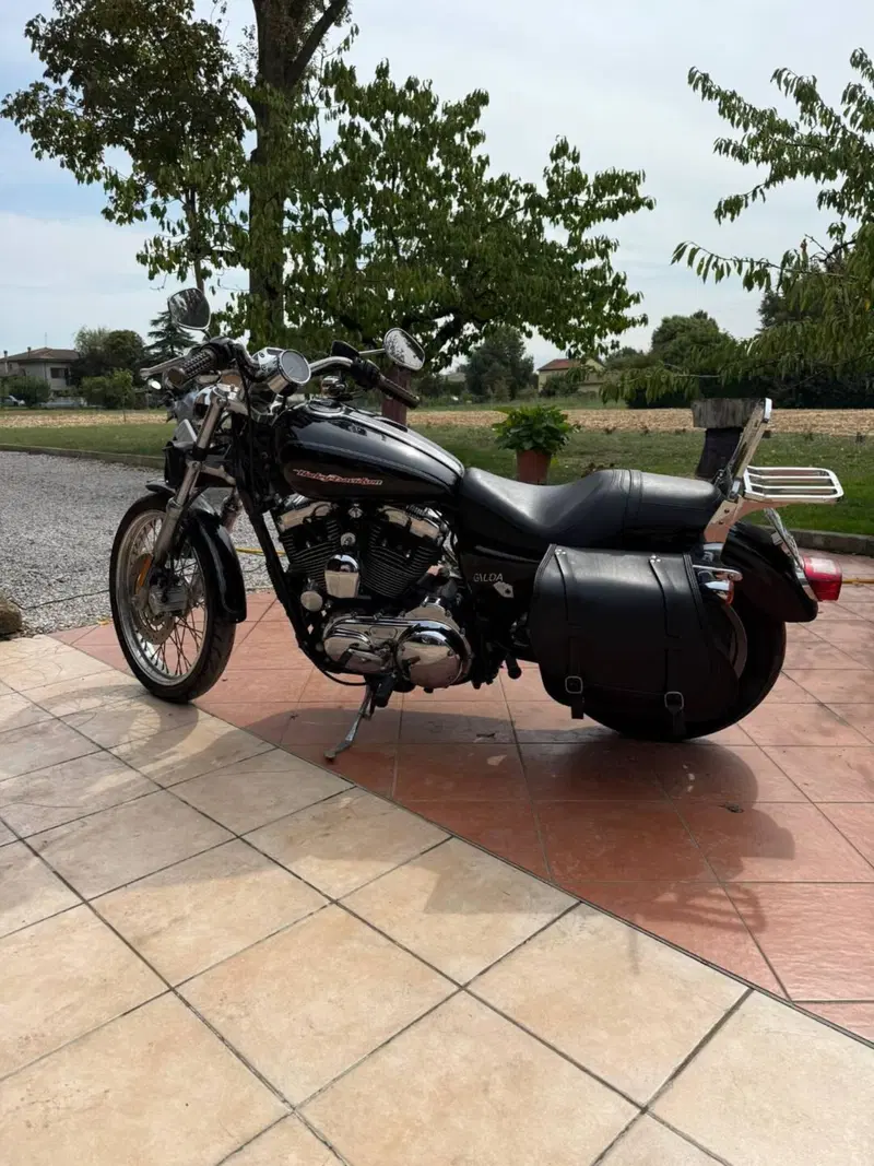 Harley-Davidson 1200 Custom (2004 - 06) - XL 1200C (6)