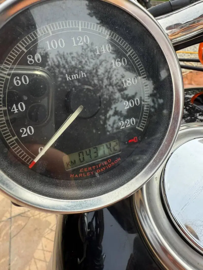Harley-Davidson 1200 Custom (2004 - 06) - XL 1200C (9)