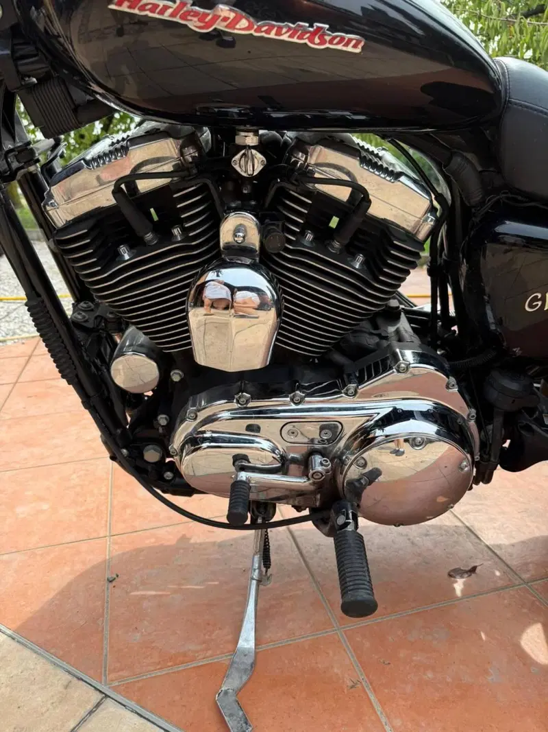 Harley-Davidson 1200 Custom (2004 - 06) - XL 1200C (10)