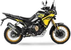 Voge Valico 800DSX Rally (2025 - 26) nuova