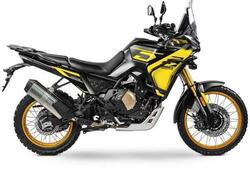 Voge Valico 800DSX Rally (2025) nuova