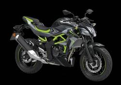 Kawasaki Z 125 (2021 - 24) nuova
