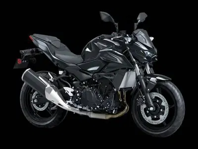 Kawasaki Z 500 (2024 - 26) nuova
