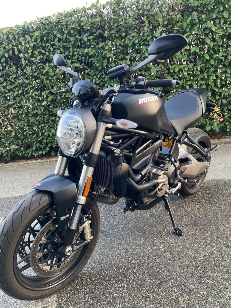 Ducati Monster 821 (2018 - 20) (4)