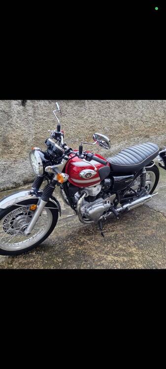 Kawasaki W 800 (2021 - 25) (3)