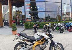 Aprilia Shiver (2008 - 10) usata