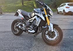 Yamaha MT-09 Street Rally (2014 - 16) usata