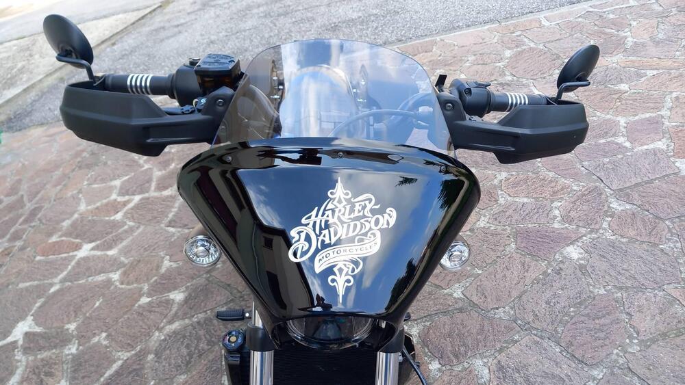 Harley-Davidson Nightster (2023 - 25) (3)