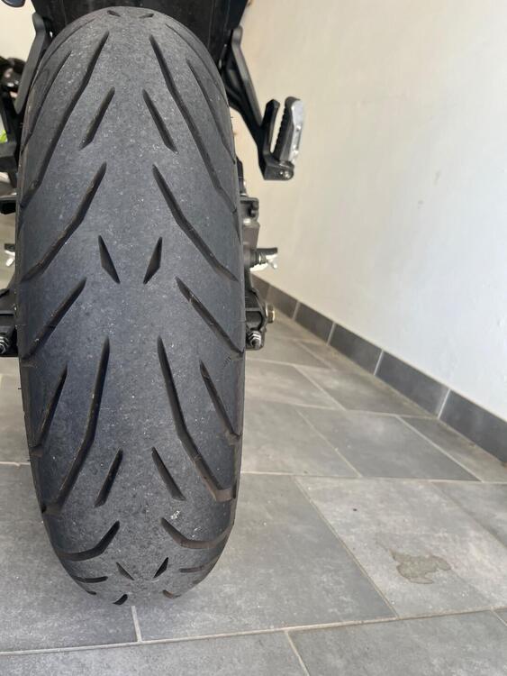 Kawasaki Z 650 (2020) (5)