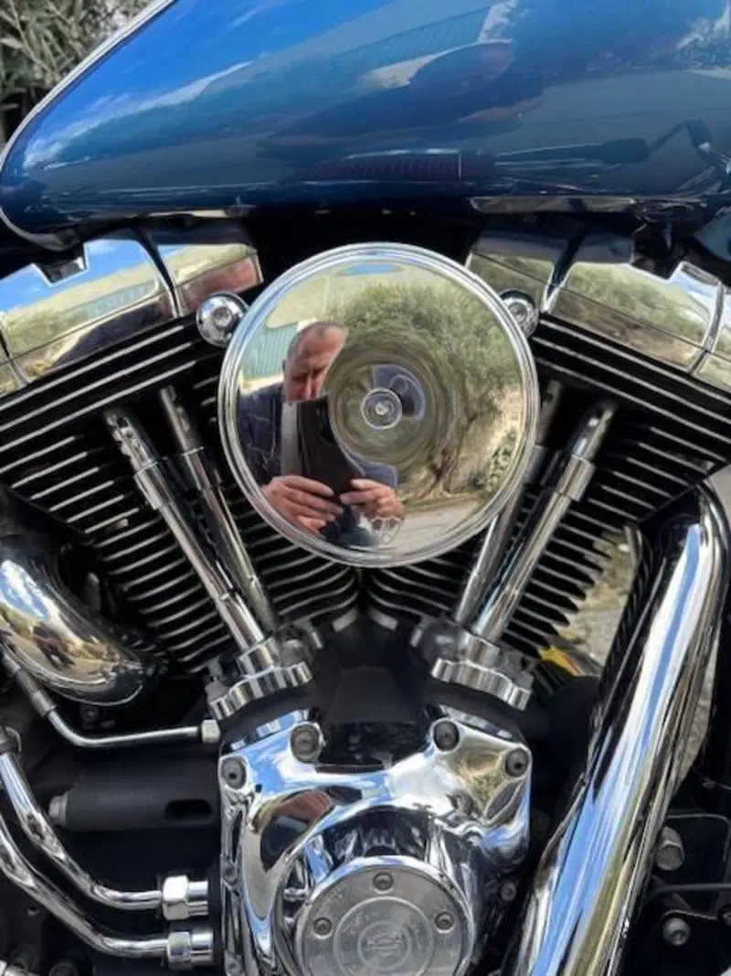Harley-Davidson 1450 Deluxe (2005 - 06) - FLSTNI (6)