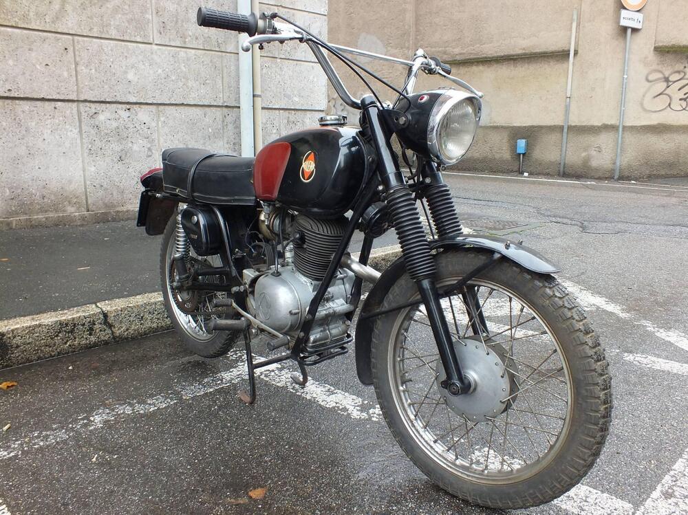 Gilera Giubileo 98 country (5)