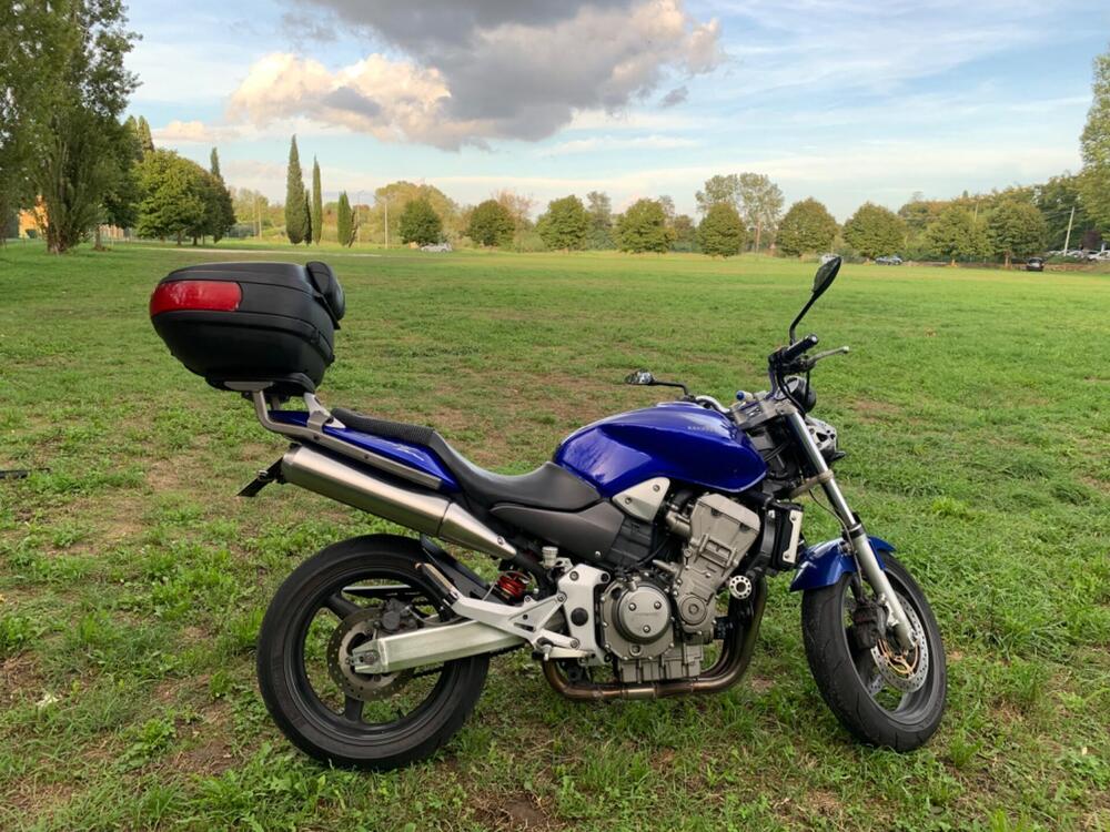Honda Hornet