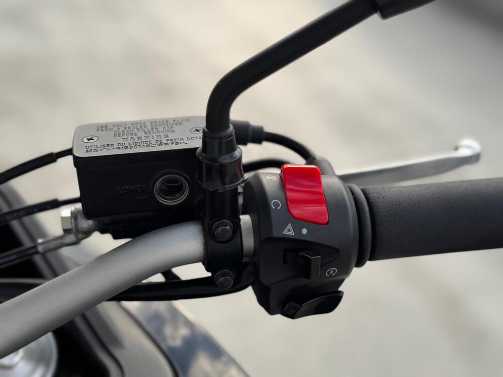 Voge Valico 500DS (2021 - 24) (2)