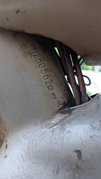 Aermacchi Harley-Davidson Cigno 125 (2)