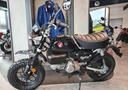 Honda Monkey 125 (2025) nuova