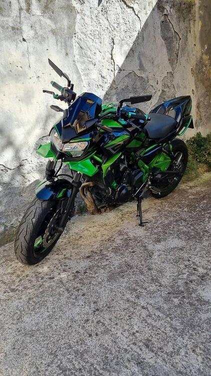 Kawasaki Z 650 (2021 - 24) (2)